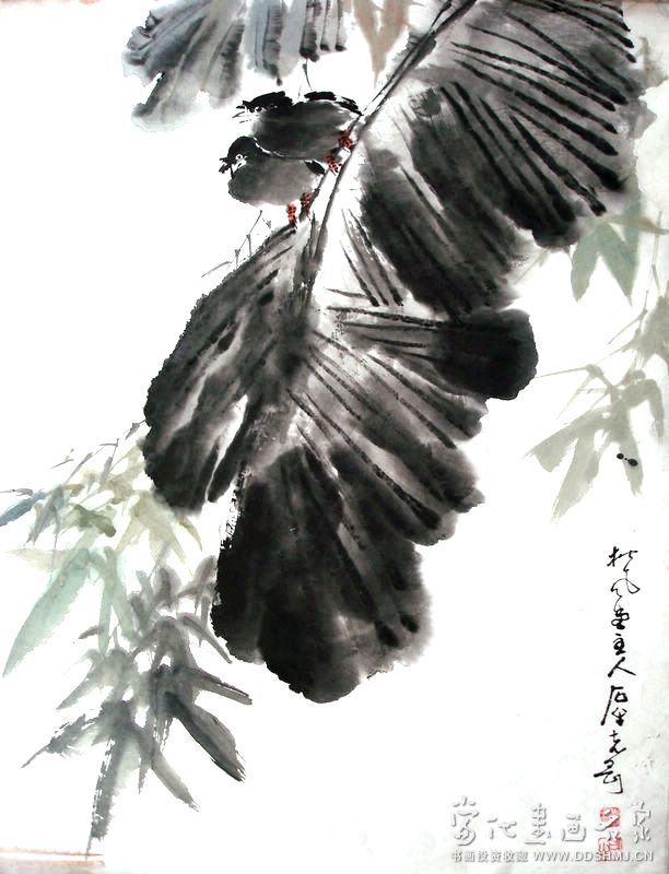 芭蕉八哥+-+国画+-+当代书画名家网
