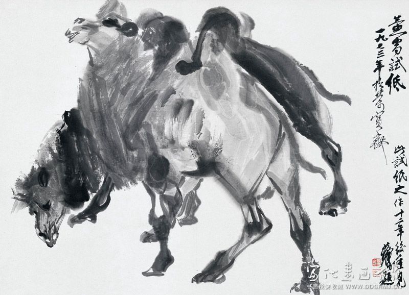 骆驼